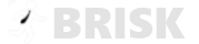 Brisk Software Systems, LLC